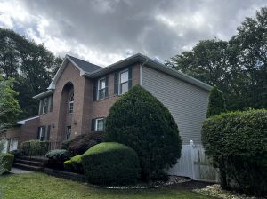 paint vinyl siding or replace