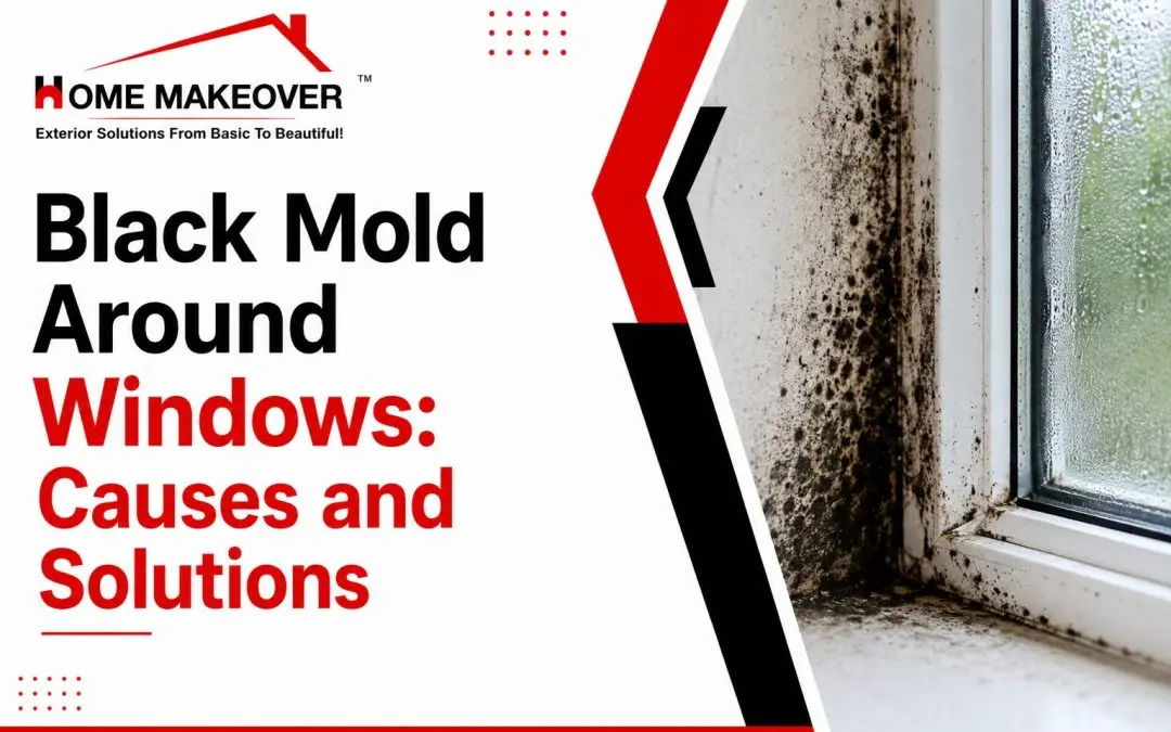 Mold around windows