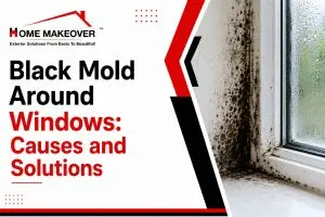 Mold around windows