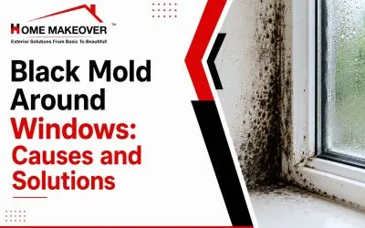 Black Mold Around Windows: Causes and Solutions